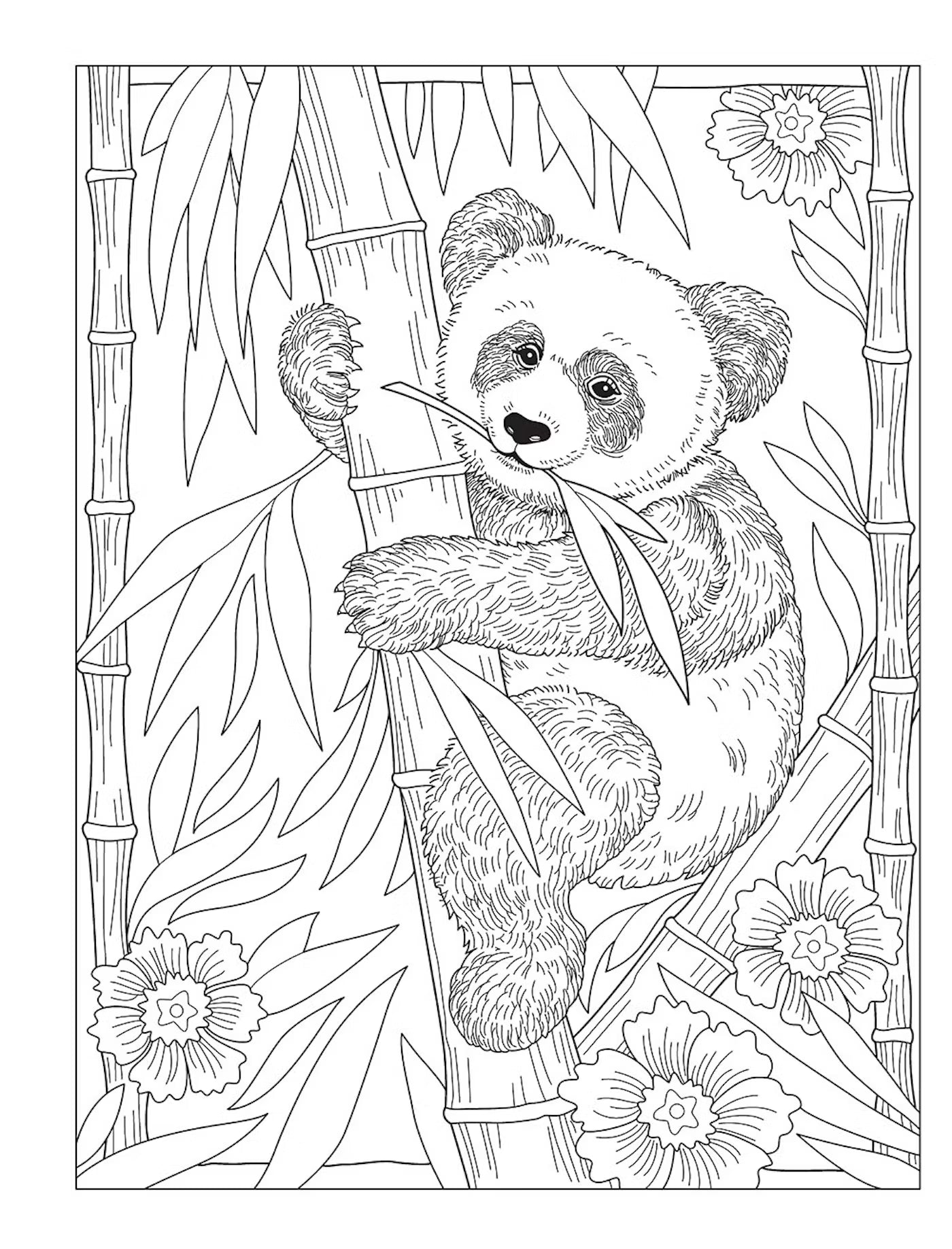 Creative Haven Wondrous Wildlife Coloring Book