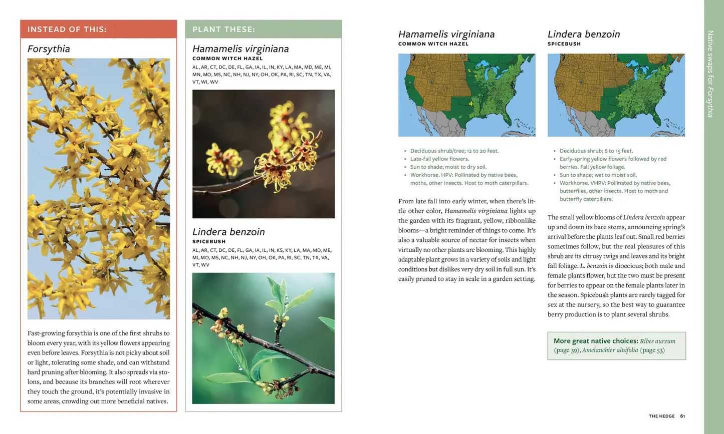 Plant This, Not That: Over 200 Native Plant Swaps for a More Sustainable, Pollinator-Friendly Garden: Over 200 Native Plant Swaps for a More Sustainable, Pollinator-Friendly Garden