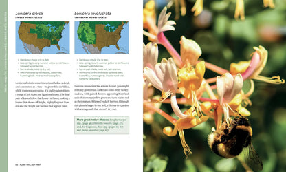 Plant This, Not That: Over 200 Native Plant Swaps for a More Sustainable, Pollinator-Friendly Garden: Over 200 Native Plant Swaps for a More Sustainable, Pollinator-Friendly Garden
