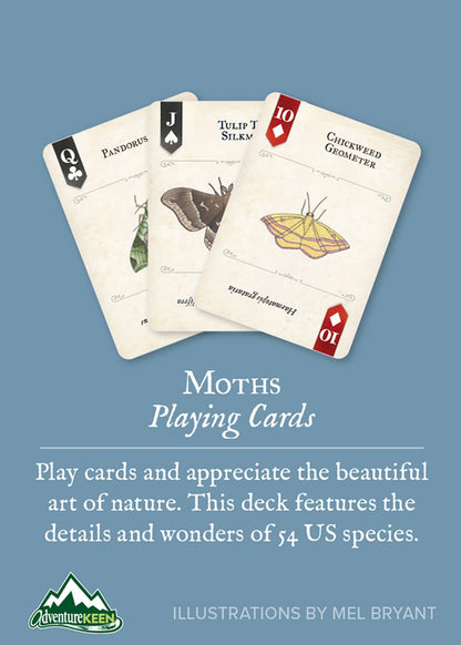 Moths Playing Cards