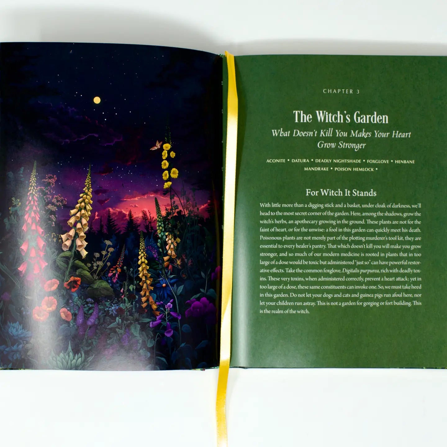 Enchanted Plants: A Treasury of Botanical Folklore and Magic by Varla A Ventura