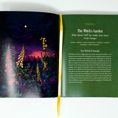 Enchanted Plants: A Treasury of Botanical Folklore and Magic by Varla A Ventura