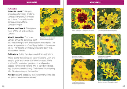 Pollinators & Native Plants for Kids: An Introduction to Botany by Jaret C. Daniels