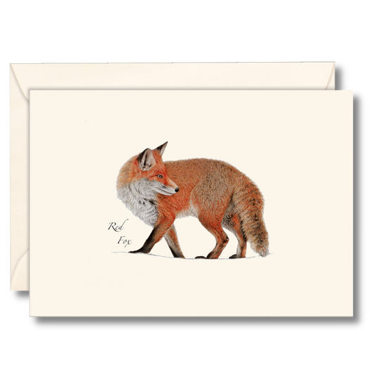 Red Fox Notecard Set