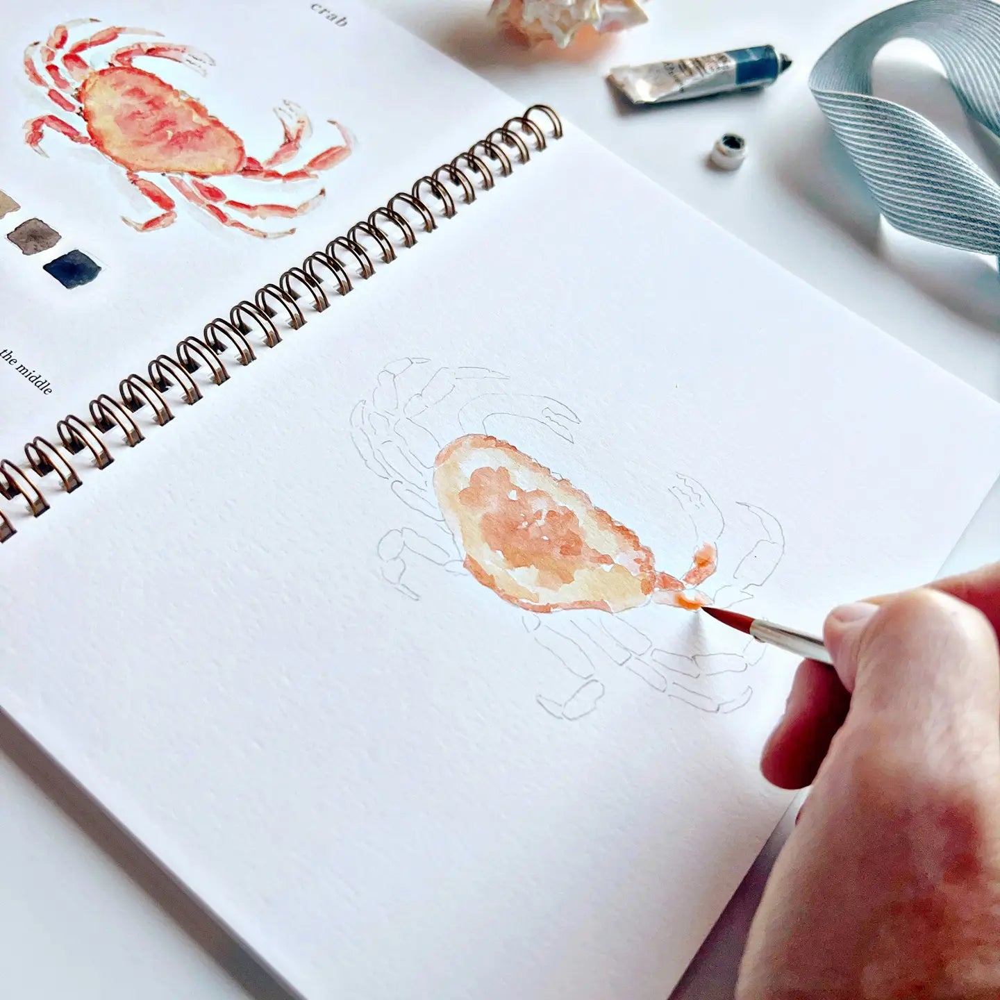 Seaside Watercolor Workbook by emily lex studio