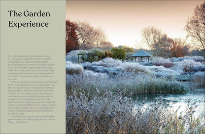 The Winter Garden: Celebrate the Forgotten Season: Celebrate the Forgotten Season