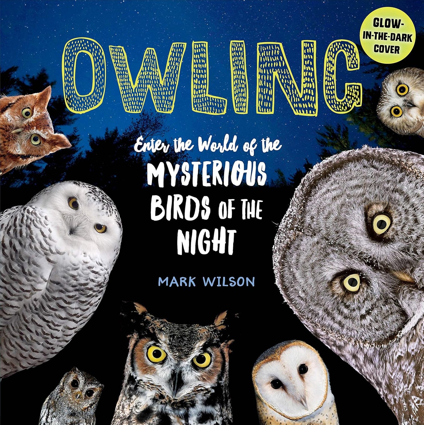 Owling: Enter the World of the Mysterious Birds of the Night by Mark Wilson