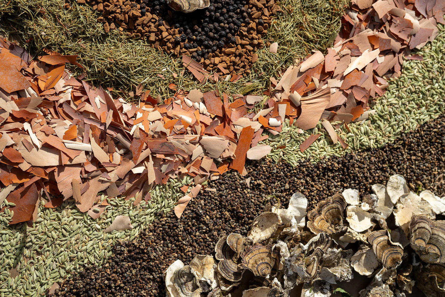 The Stoic - Wild Coast Brew Loose Leaf Tea