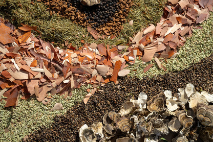 The Stoic - Wild Coast Brew Loose Leaf Tea