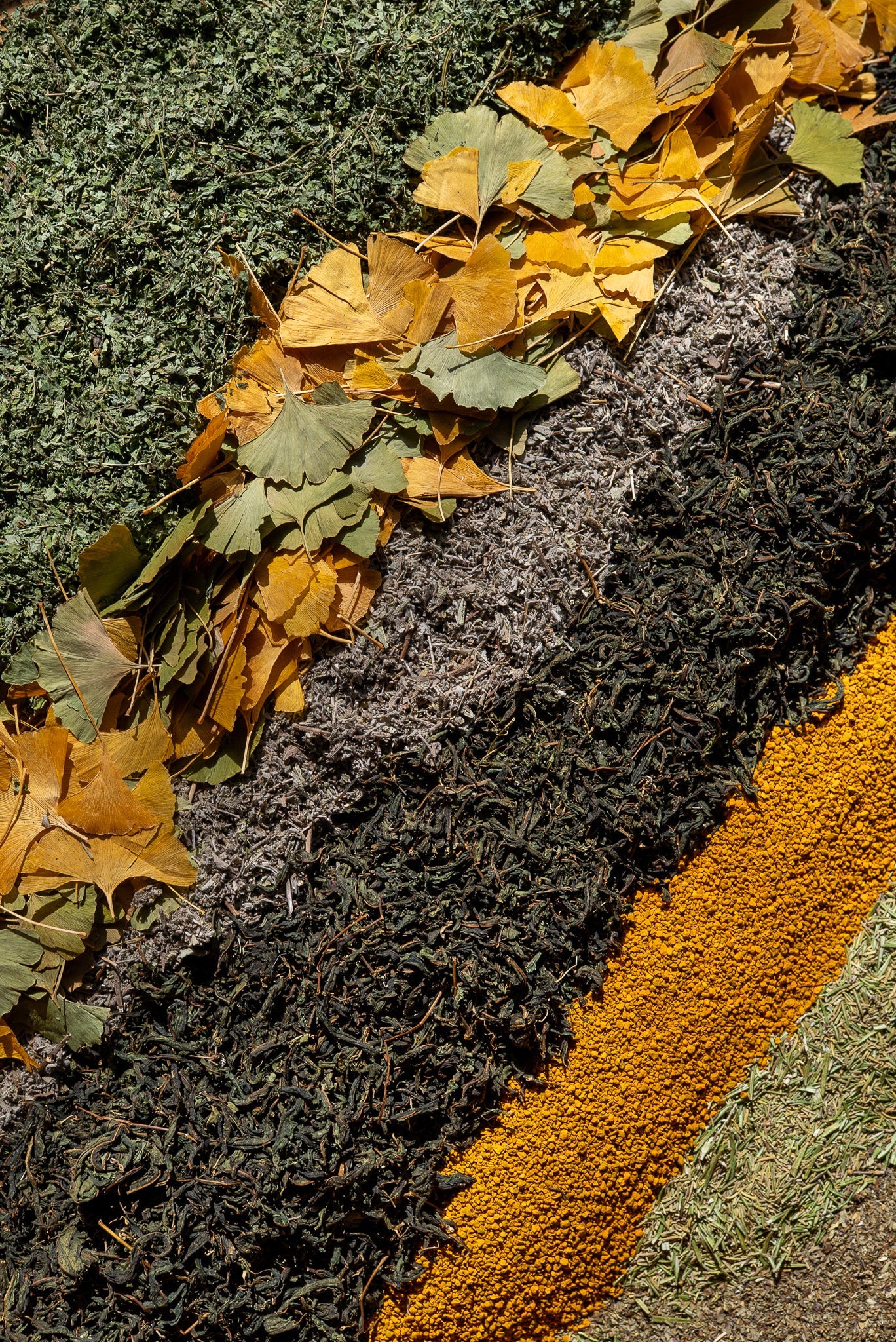 The Sage - Wild Coast Brew Loose Leaf Tea