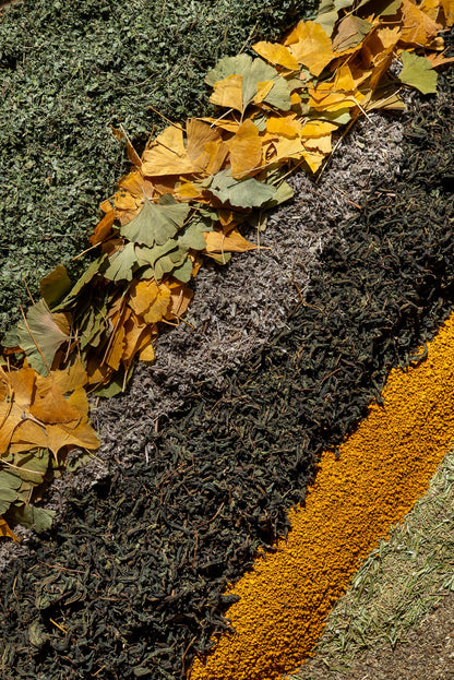 The Sage - Wild Coast Brew Loose Leaf Tea