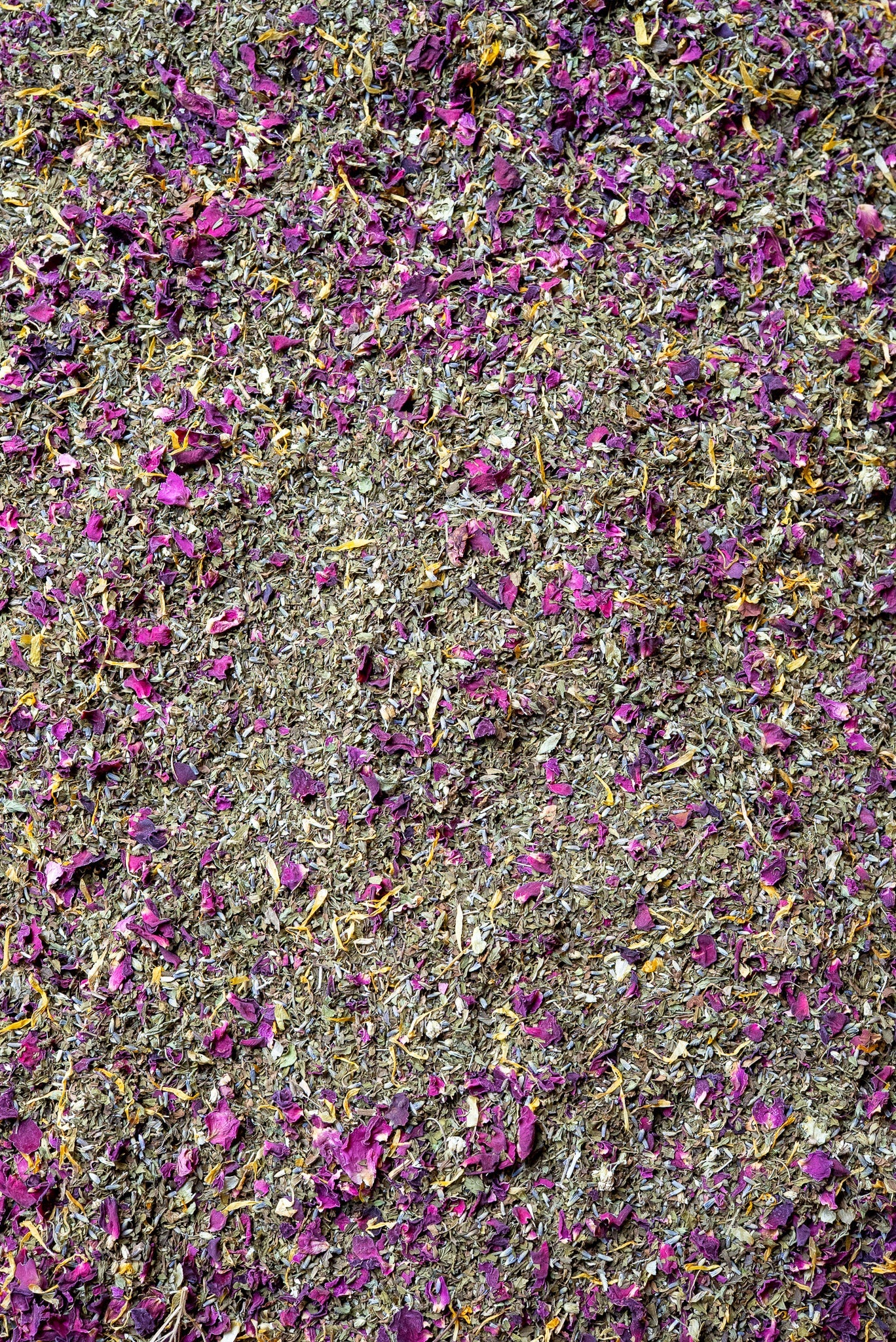 The Heroine - Wild Coast Brew Loose Leaf Tea