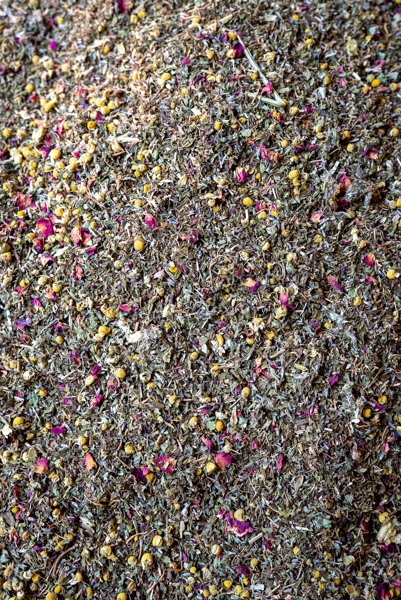 The Dreamer - Wild Coast Brew Loose Leaf Tea