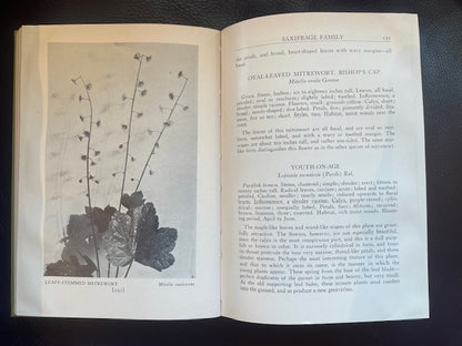Wild Flowers of the Pacific Coast by Leslie L. Haskin (1934 edition)