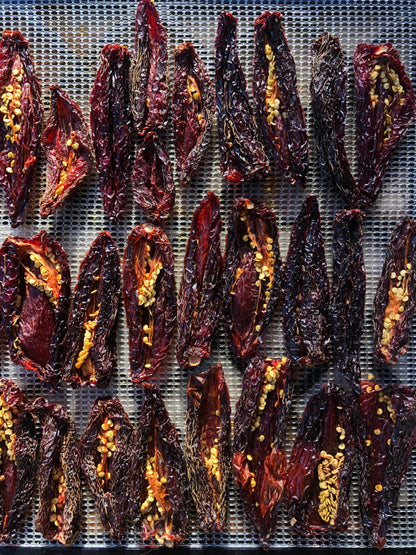 The Goof (limited) - Wild Coast Brew Loose Leaf Tea