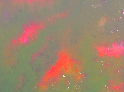The Council of Crystallization: Reflection Cards and Guidebook by Fateh Prem Kaur