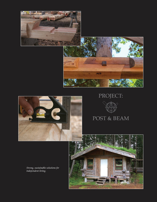 Log Building: A Masters Guide by James Mitchell