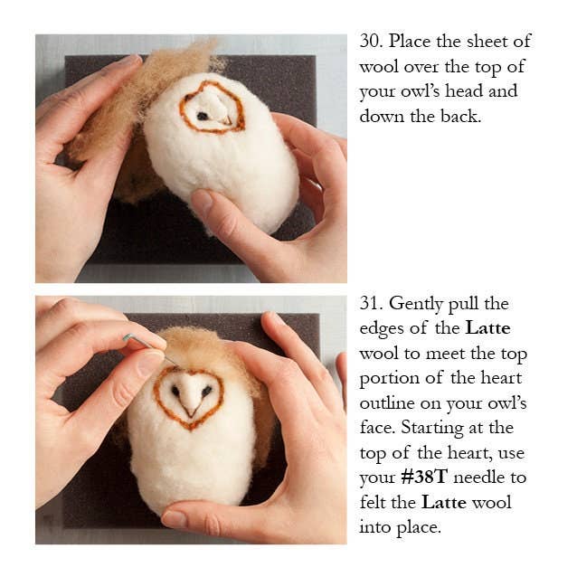 Barn Owl Needle Felting Kit - Intermediate by Grey Fox Felting