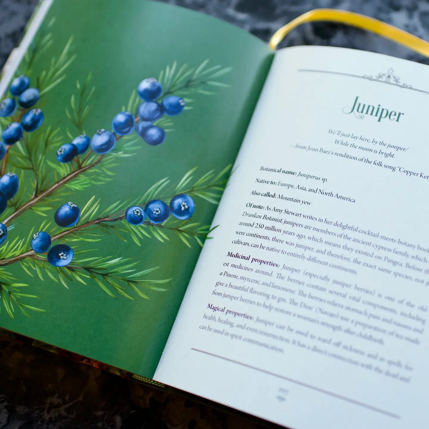 Enchanted Plants: A Treasury of Botanical Folklore and Magic by Varla A Ventura