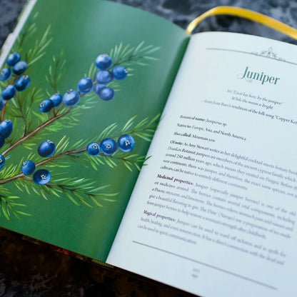 Enchanted Plants: A Treasury of Botanical Folklore and Magic by Varla A Ventura