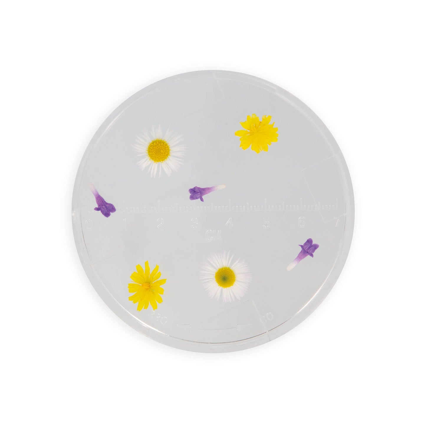 Observation Glass for kids