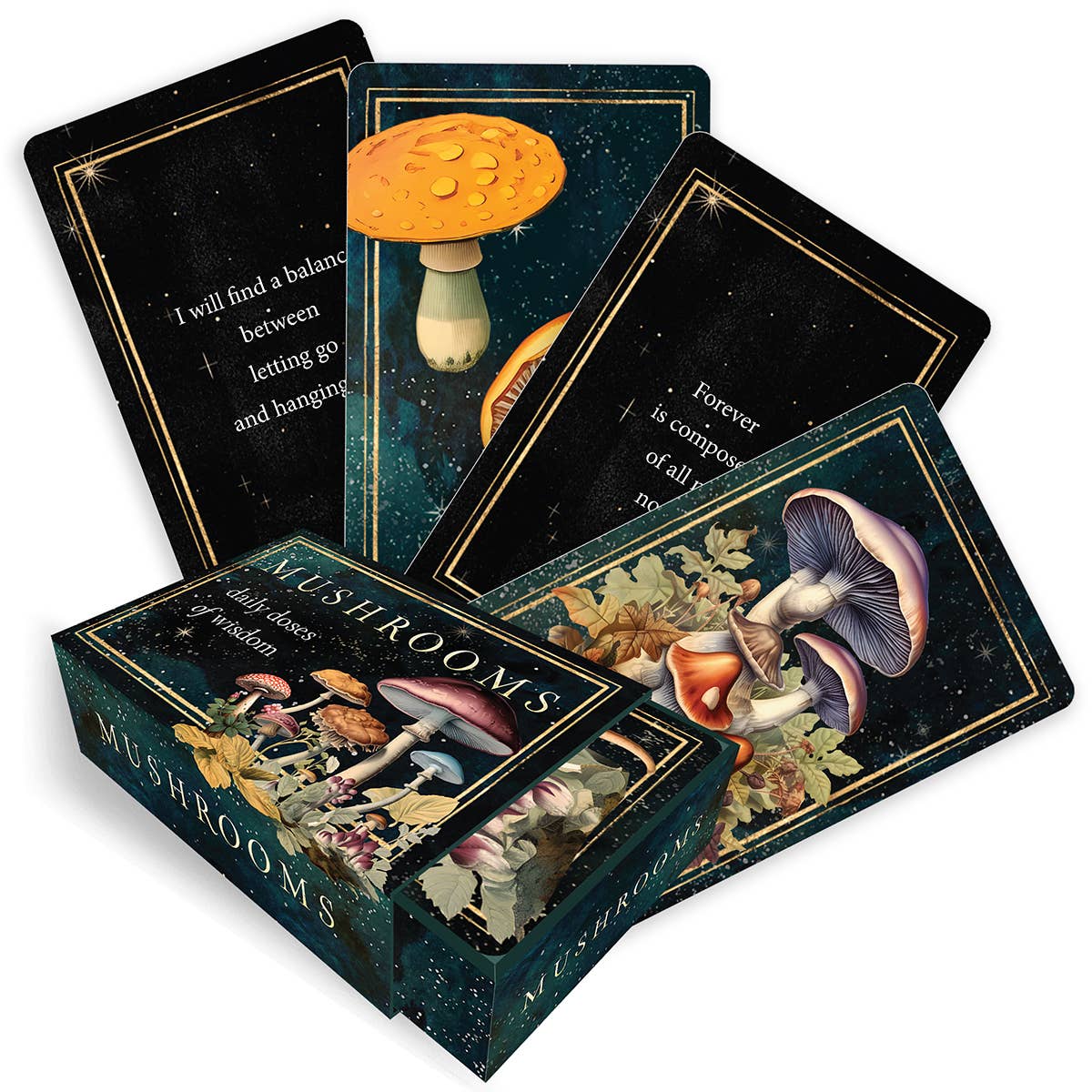 Mushrooms: Daily Doses of Wisdom (36 Gilt-Edged Full-Color Cards): Daily Doses of Wisdom (36 Gilt-Edged Full-Color Cards)
