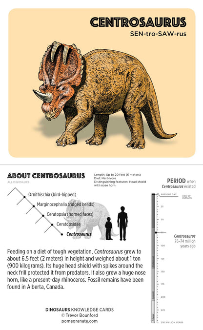 Dinosaurs Knowledge Cards