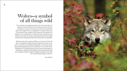 Wolves, Coyotes & Foxes: Symbols of the Wild: Symbols of the Wild