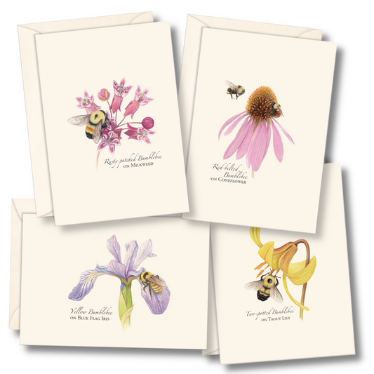 Bumblebee Assortment Notecard Set