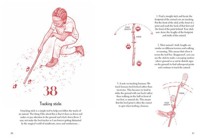 Fifty Things to Do with a Stick