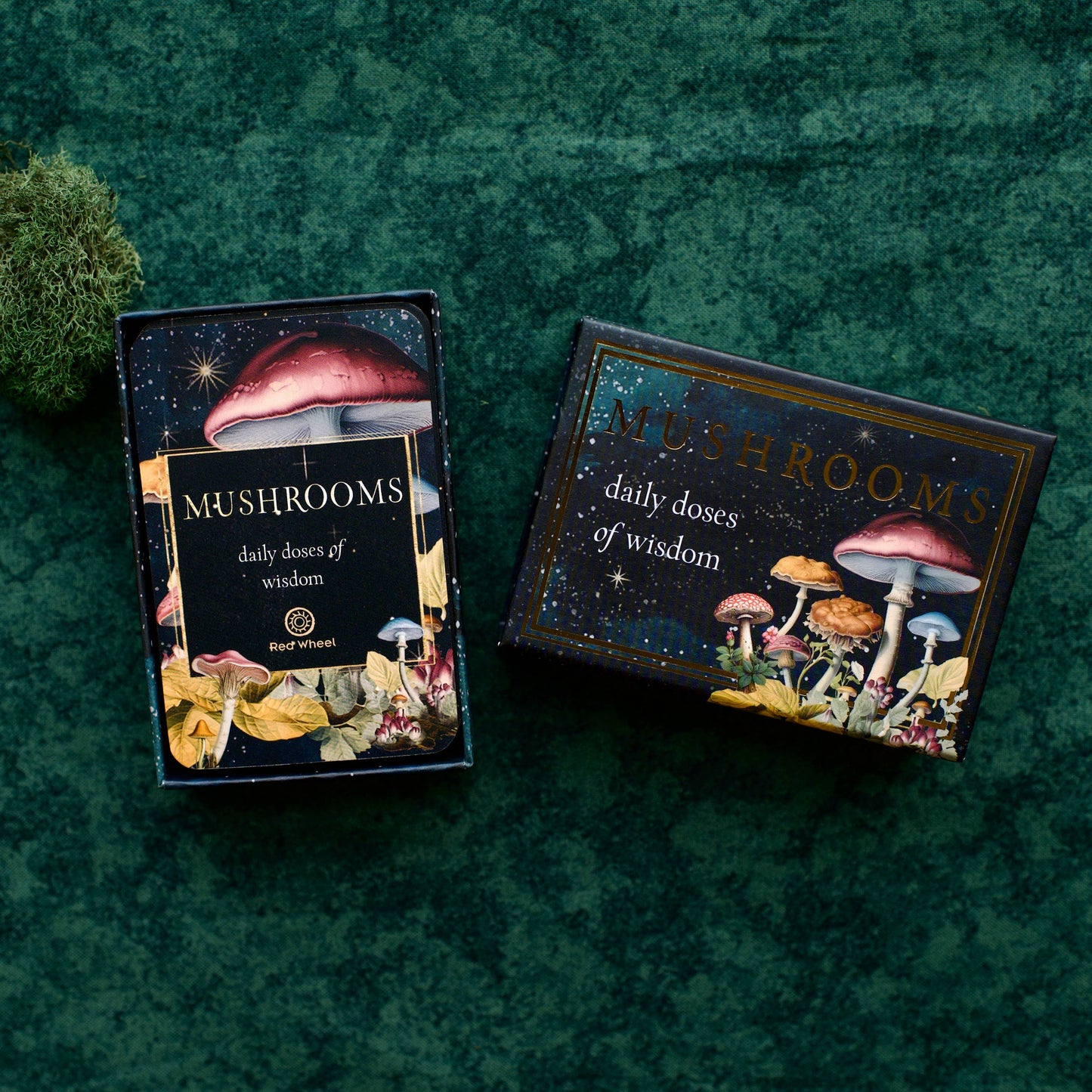 Mushrooms: Daily Doses of Wisdom (36 Gilt-Edged Full-Color Cards): Daily Doses of Wisdom (36 Gilt-Edged Full-Color Cards)
