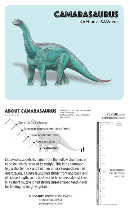Dinosaurs Knowledge Cards