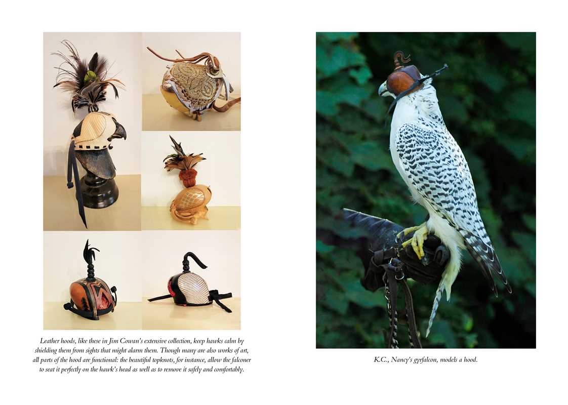 The Hawk's Way: Encounters with Fierce Beauty: Encounters with Fierce Beauty