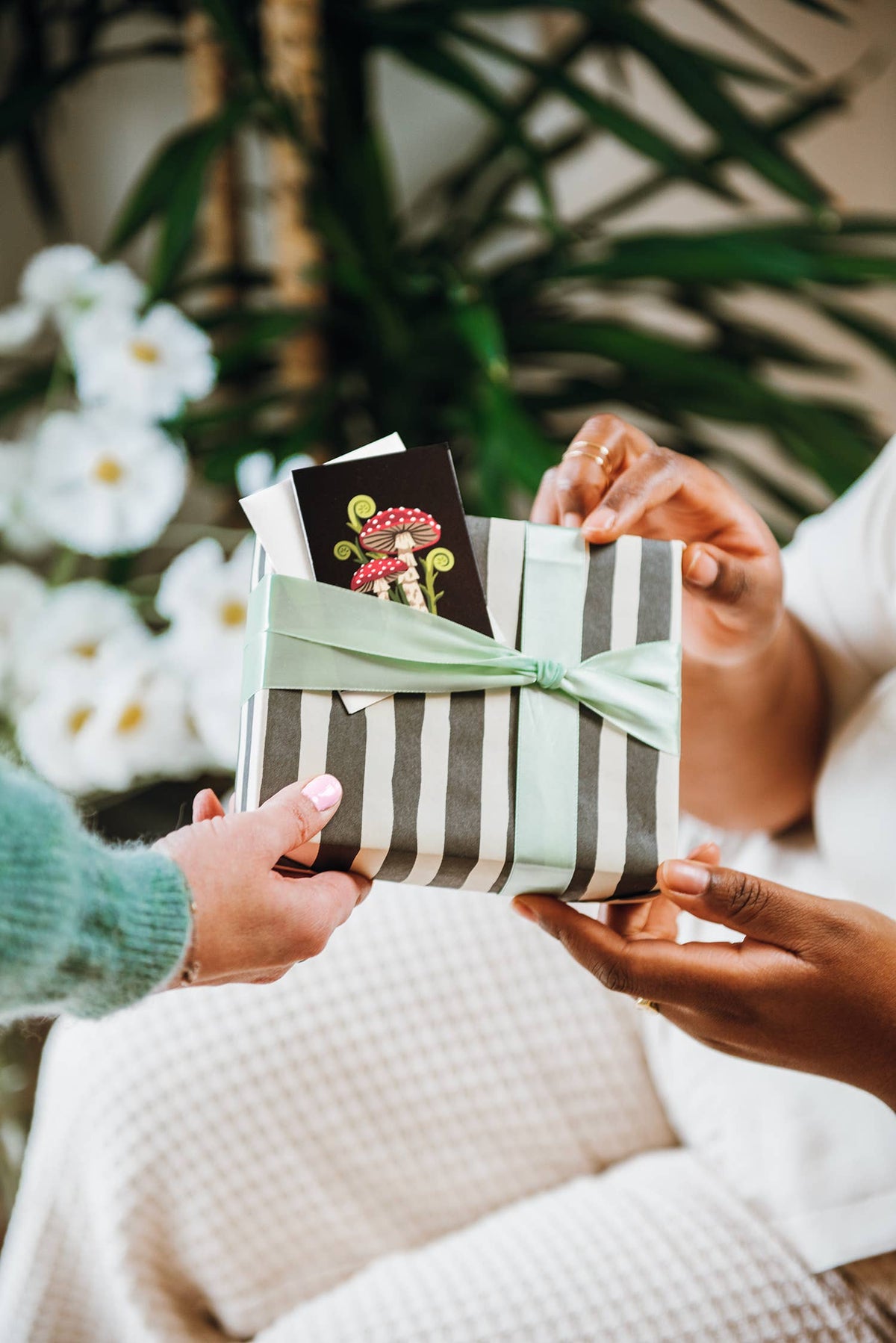 Mini Gift Card Sets | Mushrooms on Black