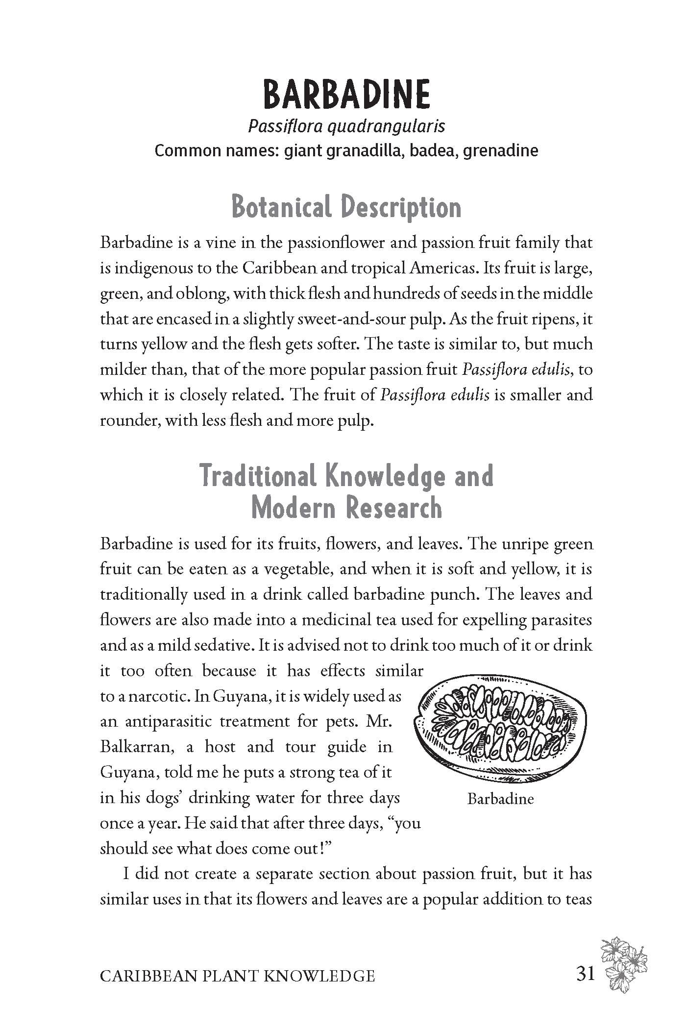 Caribbean Herbalism: Traditional Wisdom and Modern Herbal Healing