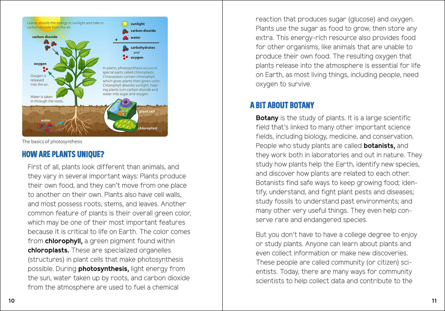 Pollinators & Native Plants for Kids: An Introduction to Botany by Jaret C. Daniels