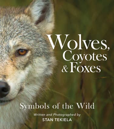 Wolves, Coyotes & Foxes: Symbols of the Wild: Symbols of the Wild