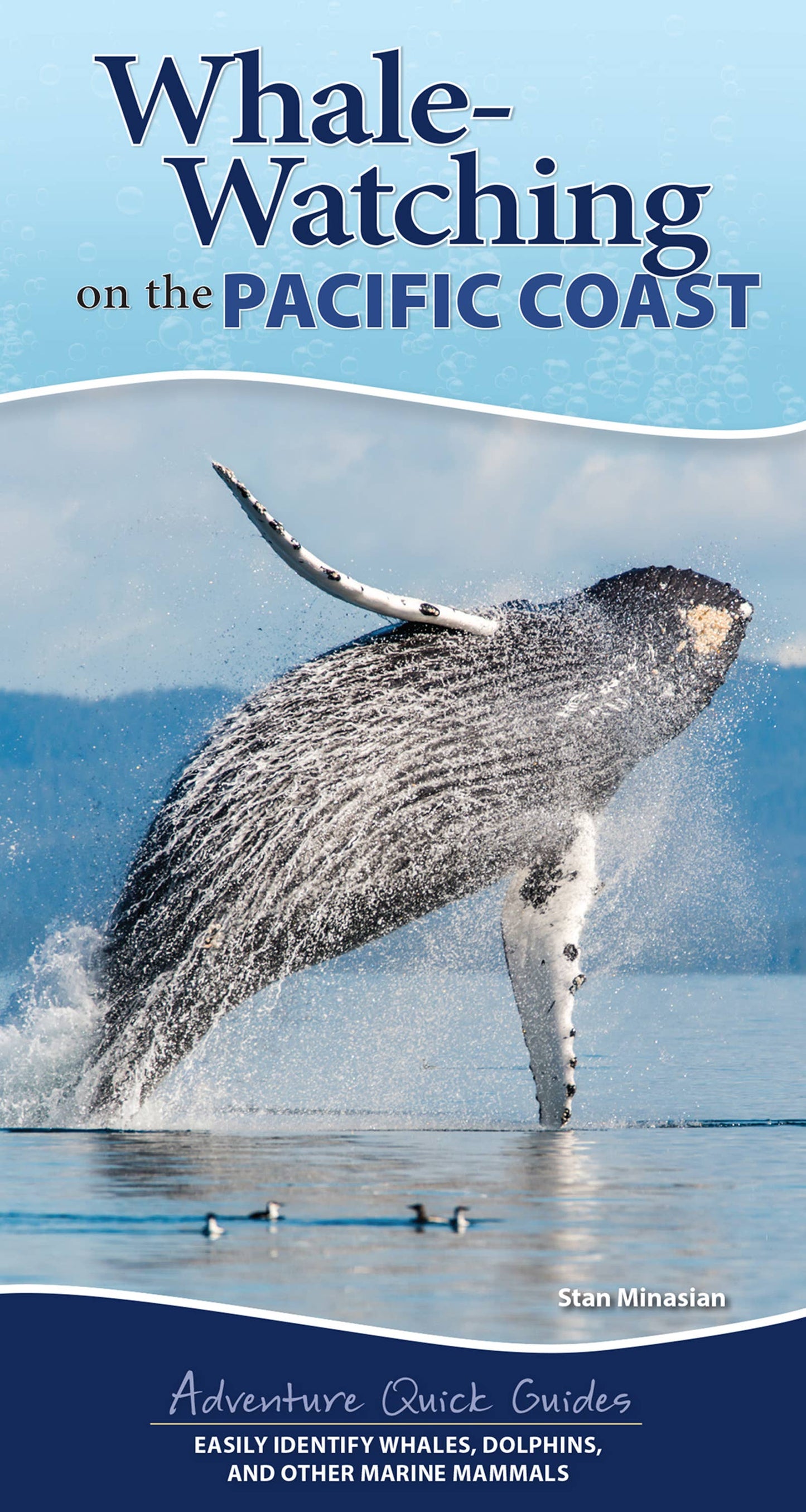 Whale-Watching on the Pacific Coast: Easily Identify Whales, Dolphins, and Other Marine Mammals: Easily Identify Whales, Dolphins, and Other Marine Mammals