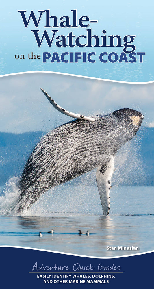 Whale-Watching on the Pacific Coast: Easily Identify Whales, Dolphins, and Other Marine Mammals by Stan Minasian