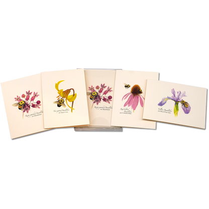 Bumblebee Assortment Notecard Set