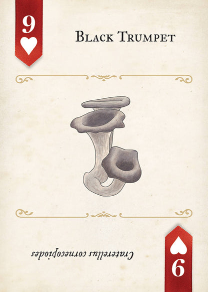 Fungi, Mushrooms & Lichens Playing Cards