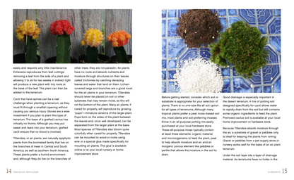 Terrariums Reimagined: Mini Worlds Made in Creative Containers