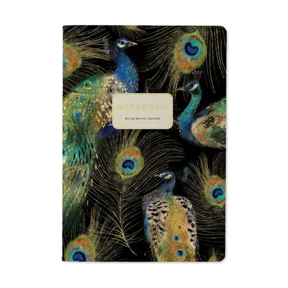 Bruno Visconti Notebooks