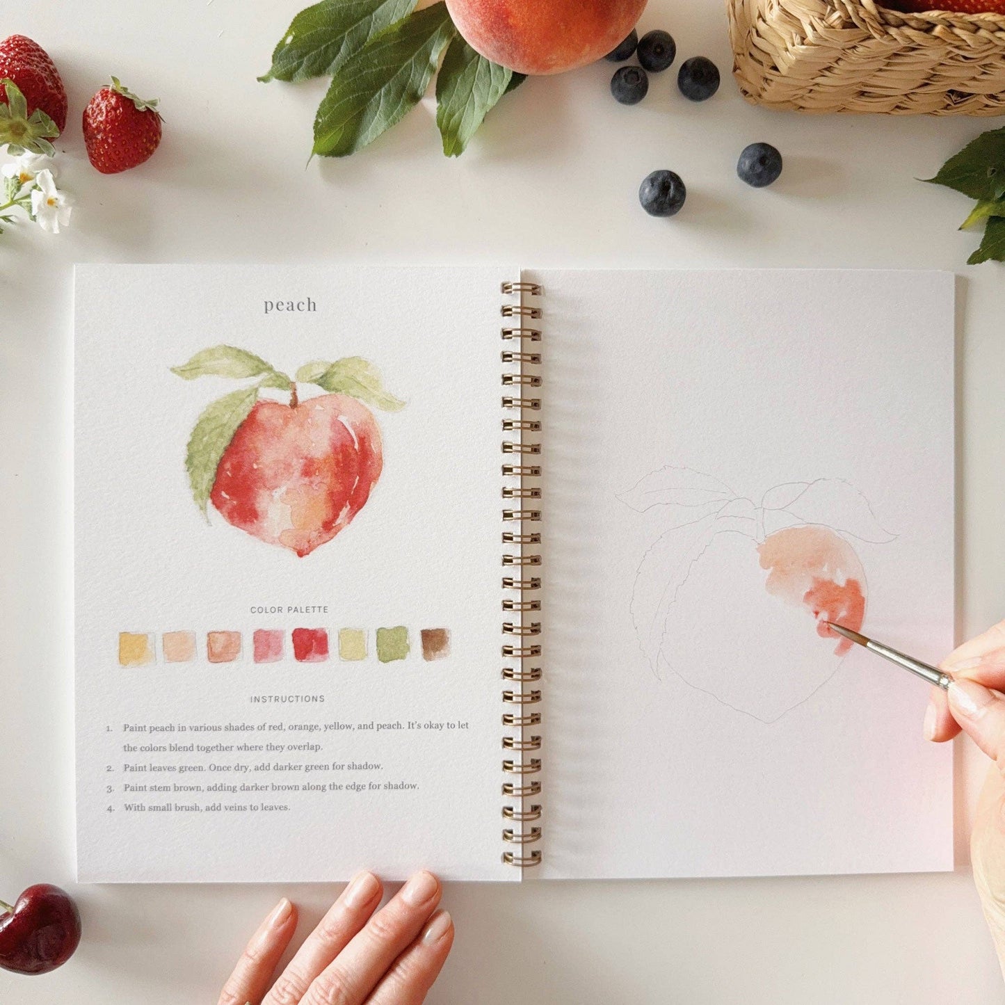 Fruit Watercolor Workbook by Emily Lex