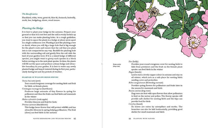 Planting with Nature: A Guide to Sustainable Gardening