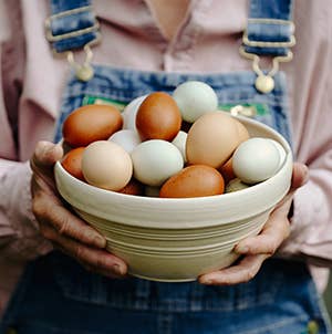 Gardening With Chickens: Planning, Planting, and Harvesting by Lisa Steele