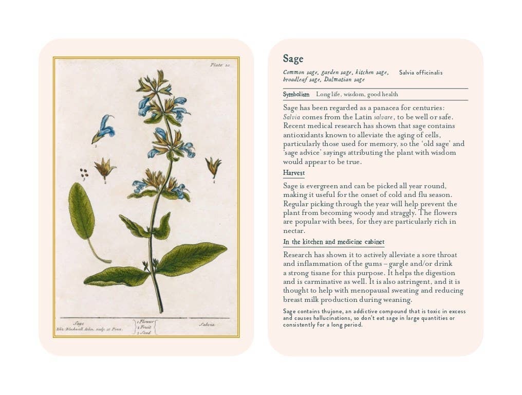 Healing Plants: 50 Botanical Cards Illustrated by the Pioneering Herbalist Elizabeth Blackwell: 50 Botanical Cards Illustrated by the Pioneering Herbalist Elizabeth Blackwell