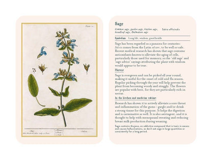 Healing Plants: 50 Botanical Cards Illustrated by the Pioneering Herbalist Elizabeth Blackwell: 50 Botanical Cards Illustrated by the Pioneering Herbalist Elizabeth Blackwell