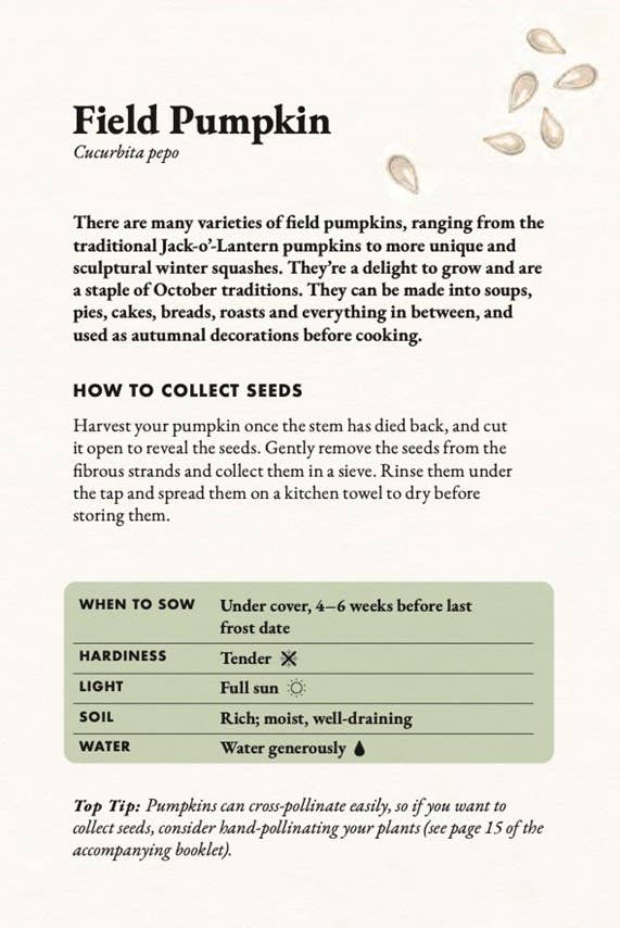 The Seed Collector's Kit: Collect - Sow - Grow - Harvest: Plant Your Garden from Seed with 50 Informative Cards, Five Collection Envelopes, and a Practica