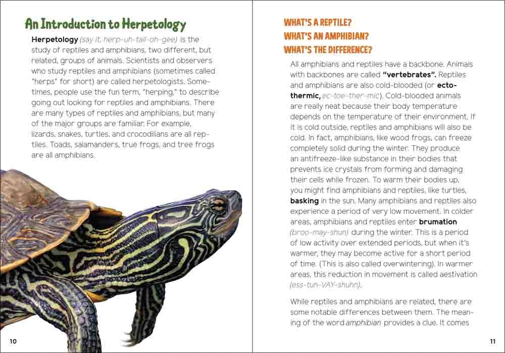 Reptiles & Amphibians for Kids: An Introduction to Herpetology (Turtles, Snakes, Frogs, Toads & More)